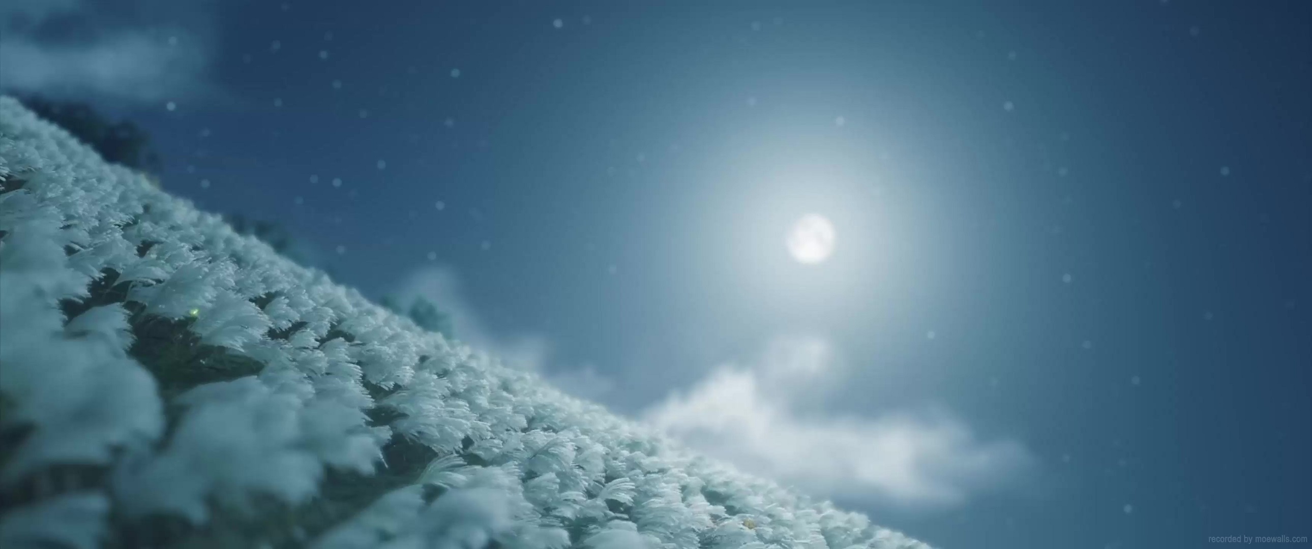 White Flower Field Moon Night Ghost Of Tsushima Live Wallpaper MoeWalls