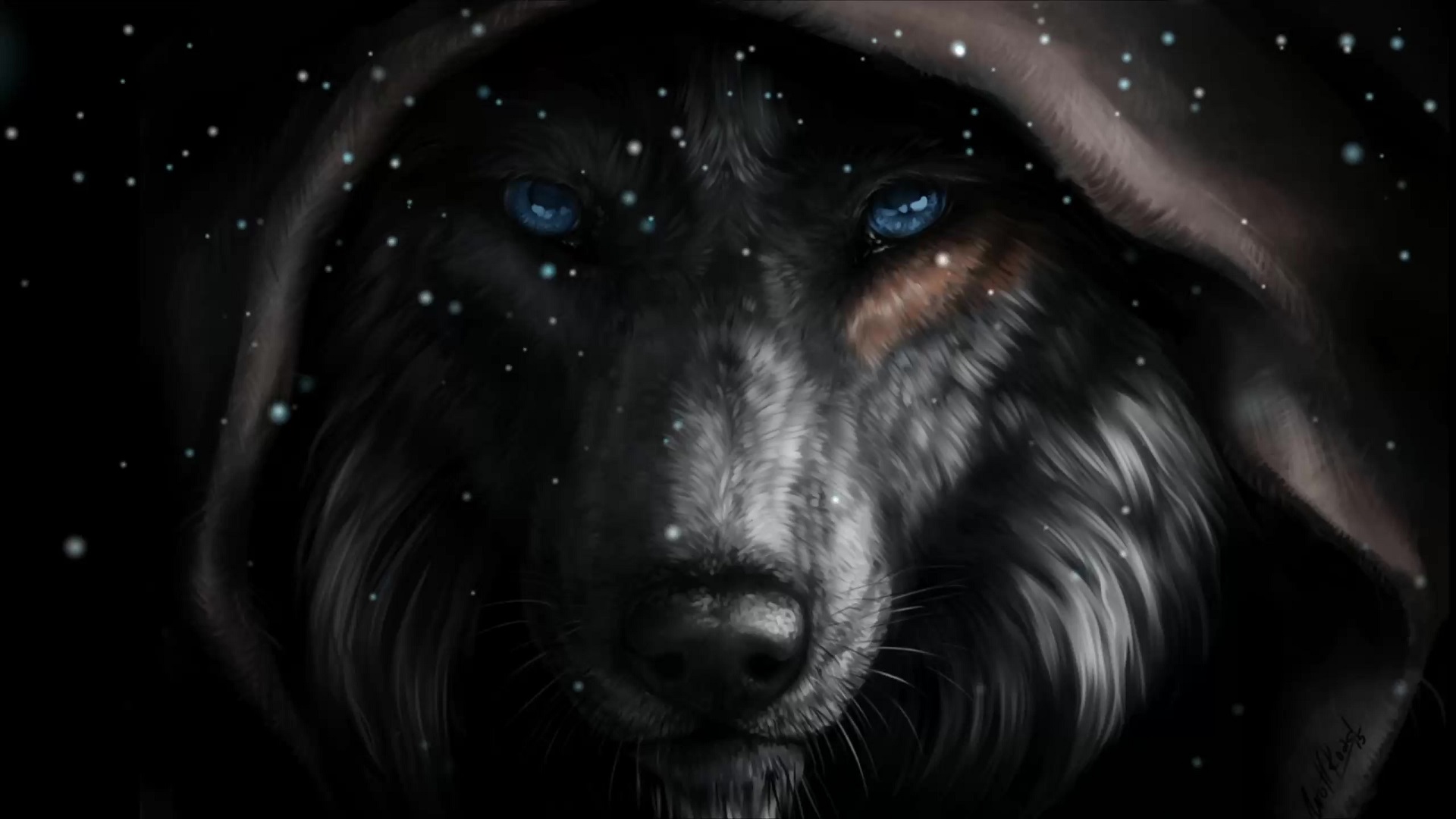 Black wolf 1080P, 2K, 4K, 5K HD wallpapers free download | Wallpaper Flare
