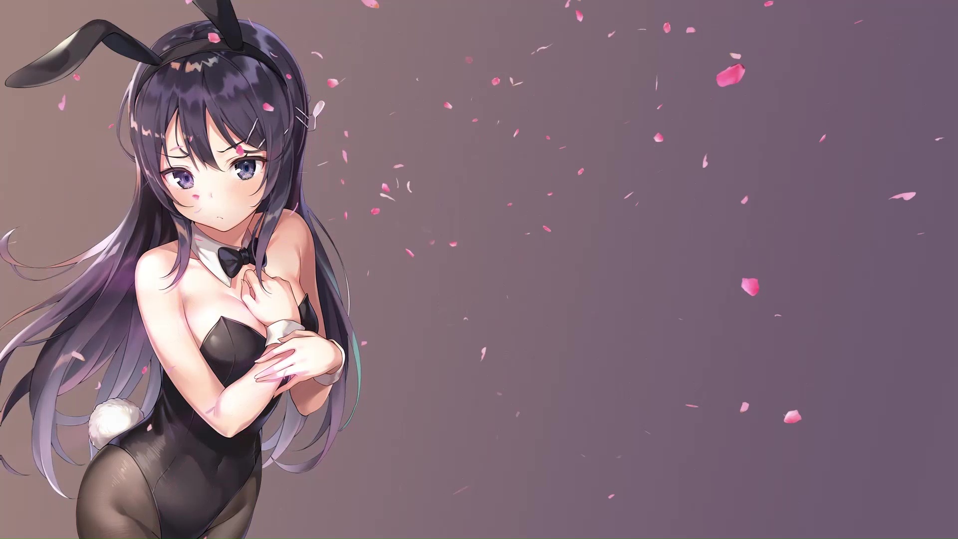 100+] Rascal Does Not Dream Of Bunny Girl Senpai Wallpapers | Wallpapers.com