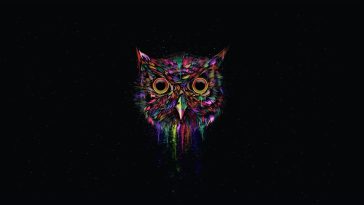 3 Owl Live Wallpapers, Animated Wallpapers - MoeWalls