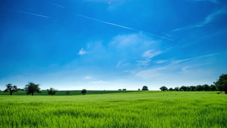 Windows XP Live Wallpaper - MoeWalls