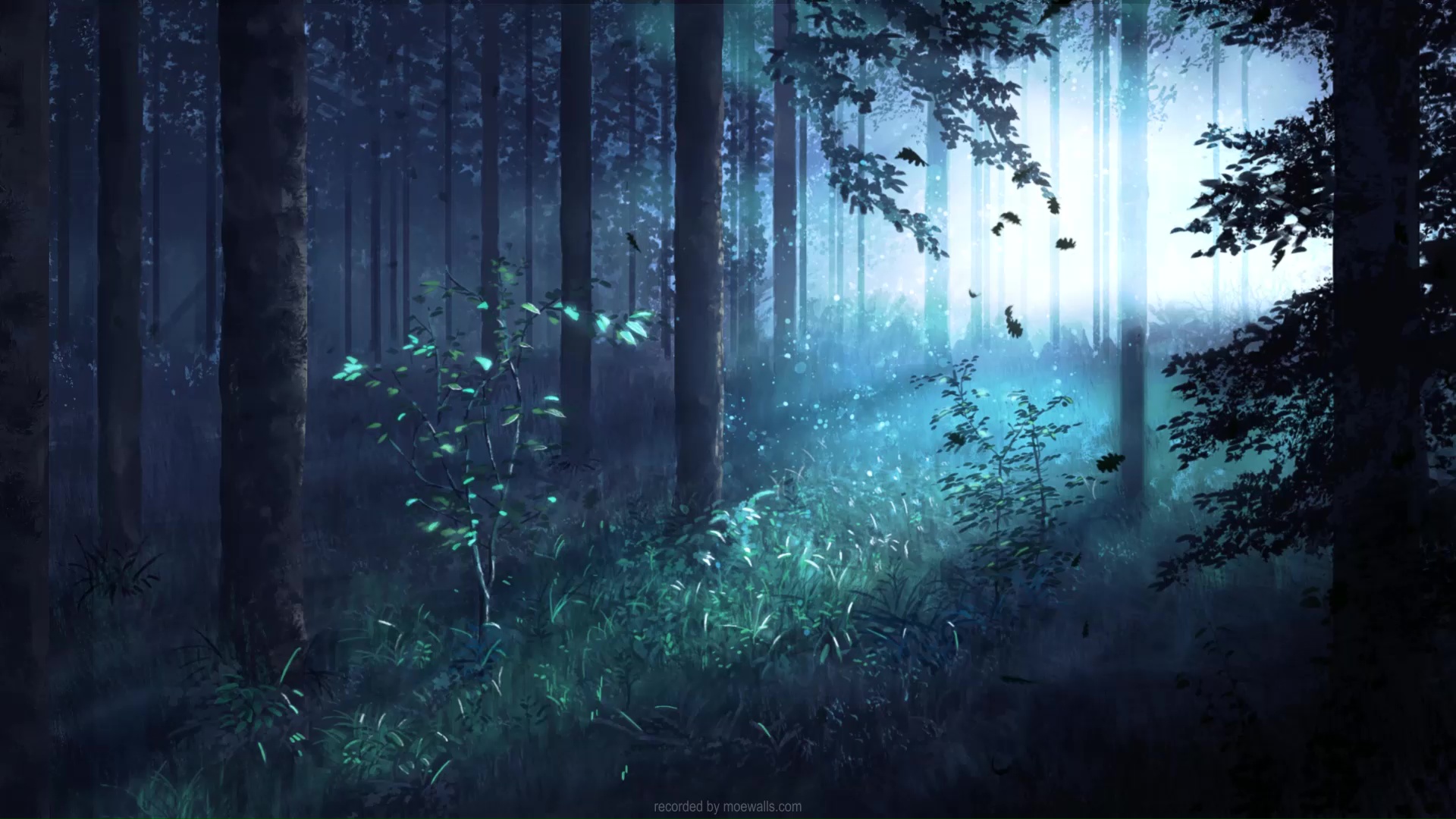 Morning In The Forest Live Wallpaper - MoeWalls
