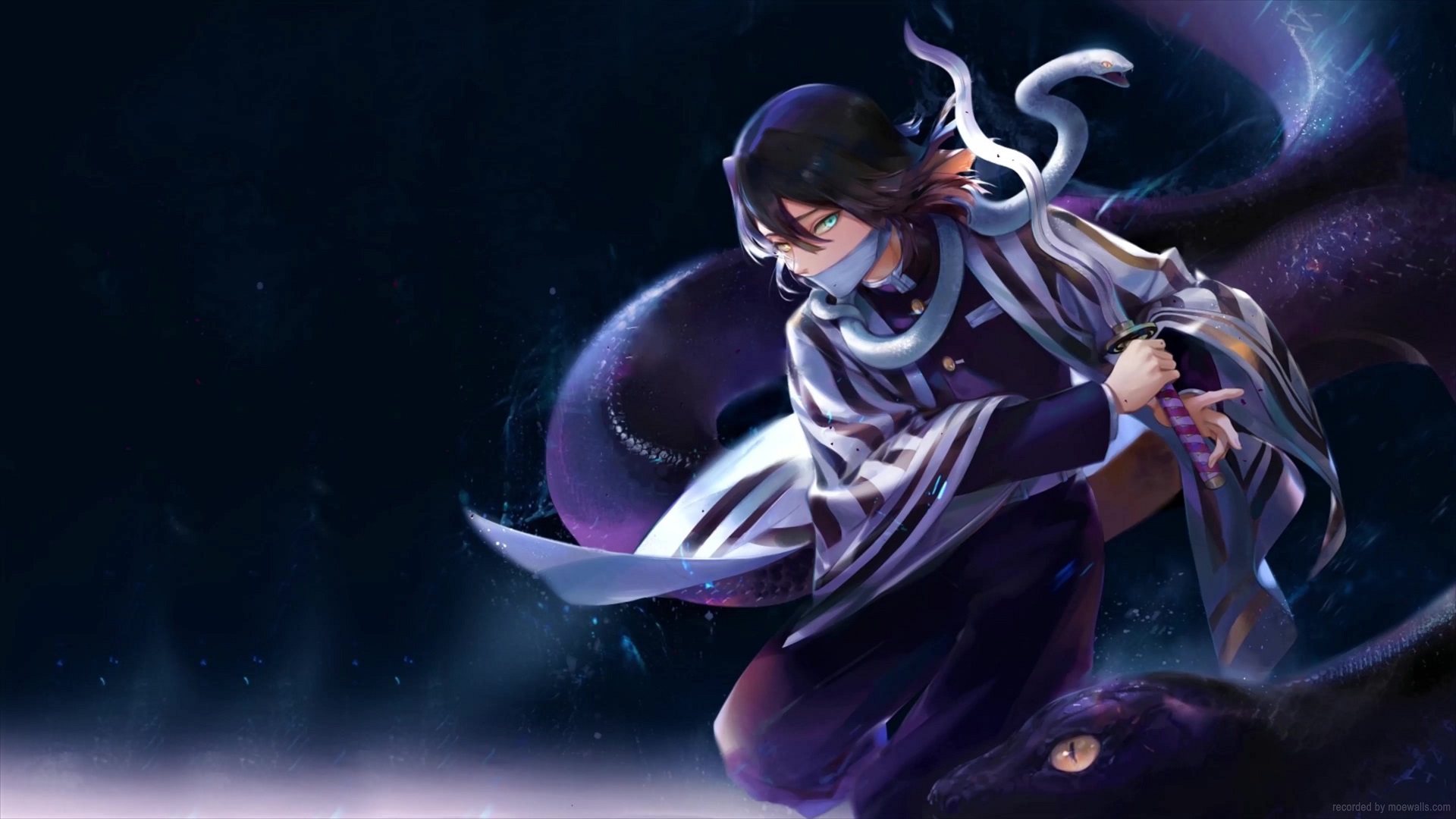 Steam Workshop::Shadow samurai anime girl 4k