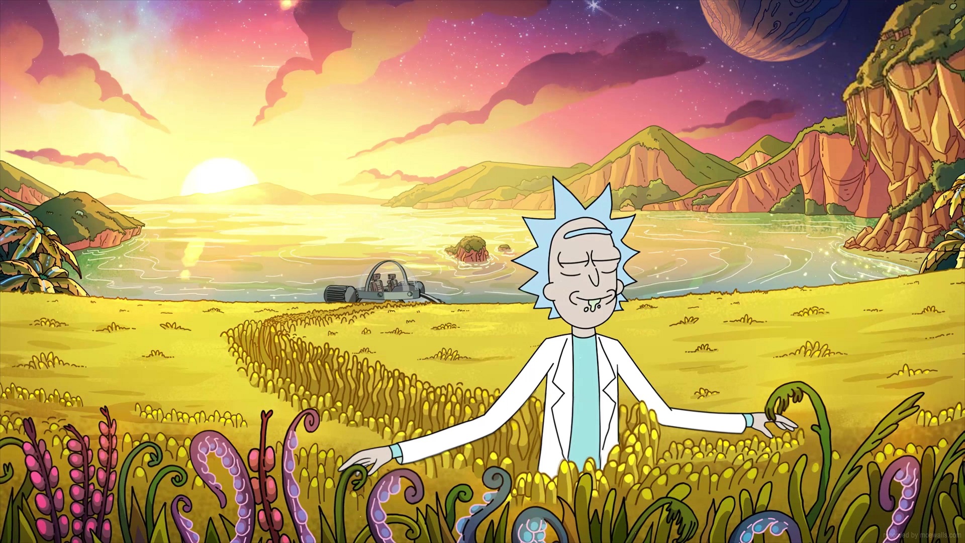 Rick Sanchez In The Field Rick And Morty Live Wallpaper Moewalls