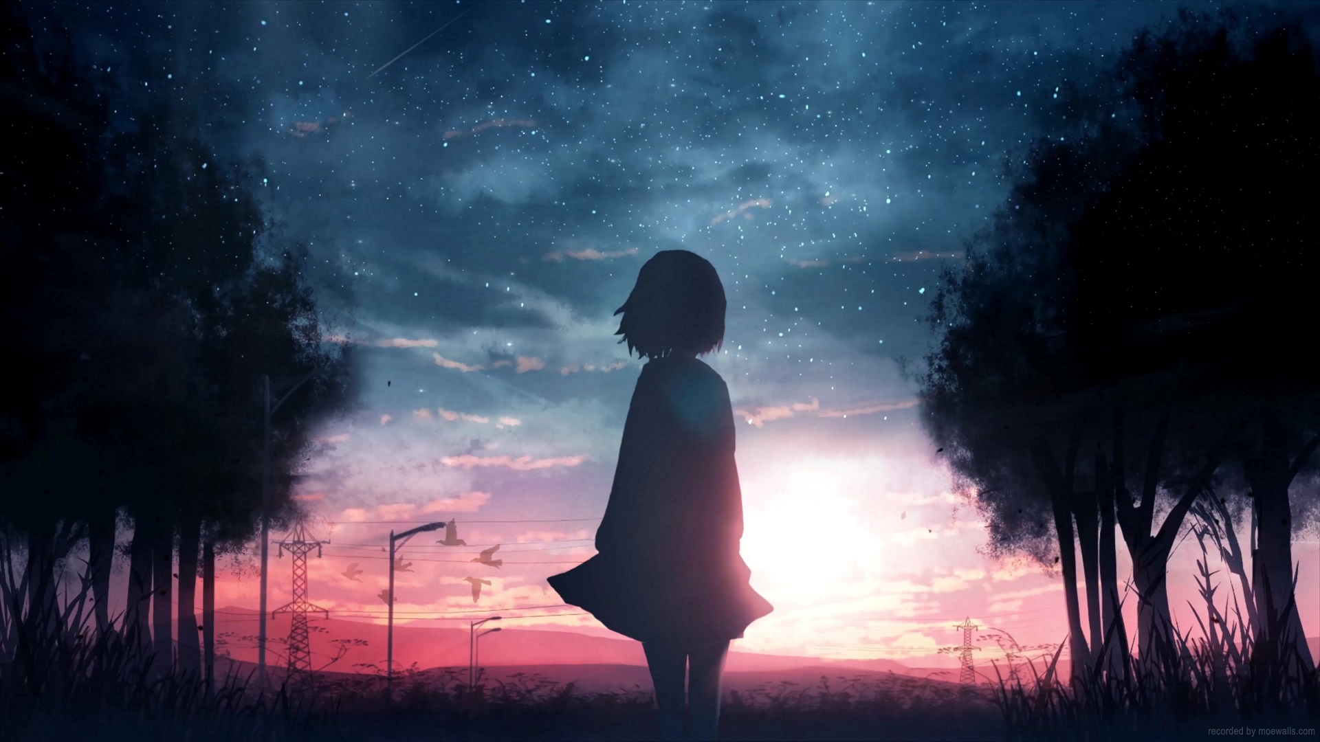 Sad Anime Girl Sunset Live Wallpaper - MoeWalls