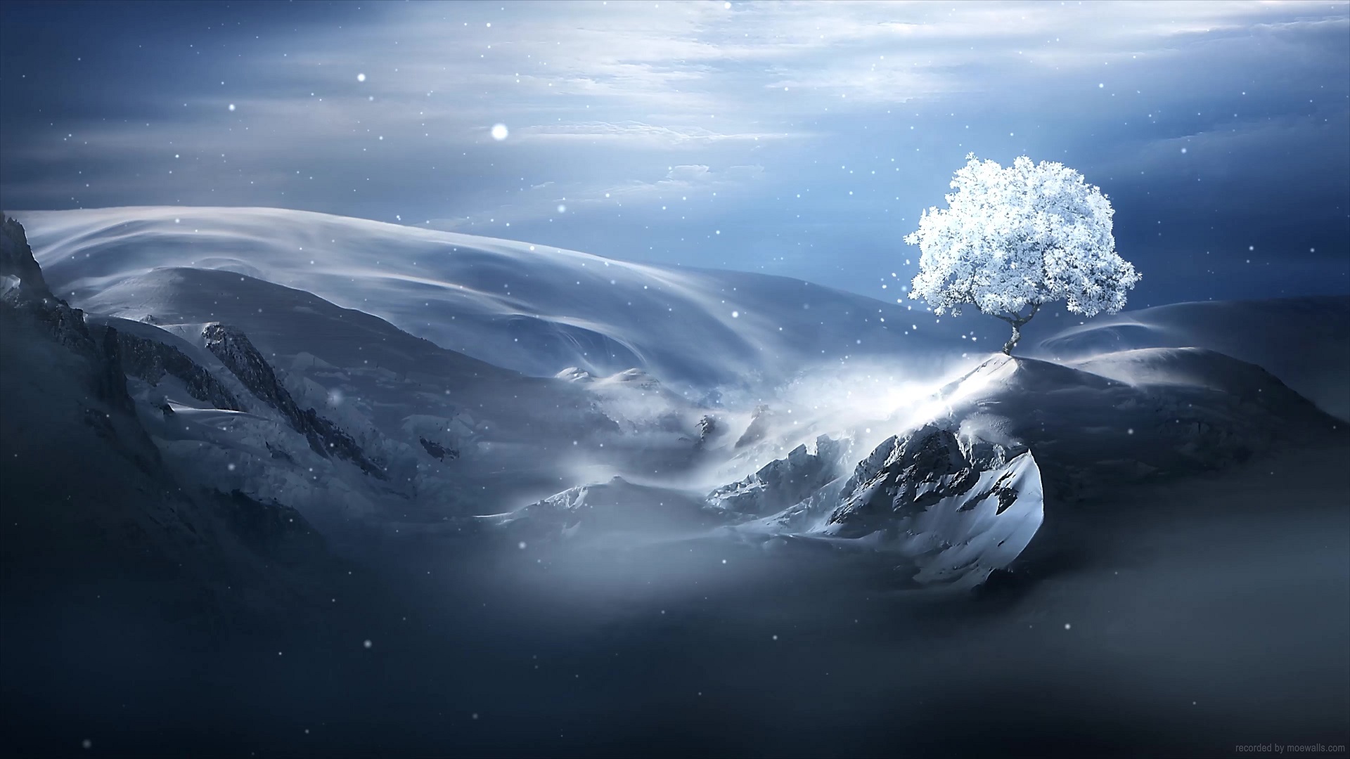 White Snow Tree On The Mountain Live Wallpaper - MoeWalls