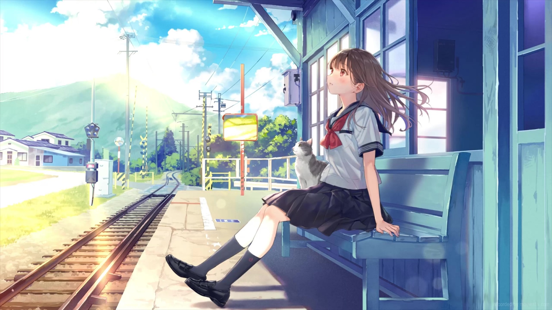 Anime School Girl Waiting For Train With Cat Live Wallpaper - MoeWalls