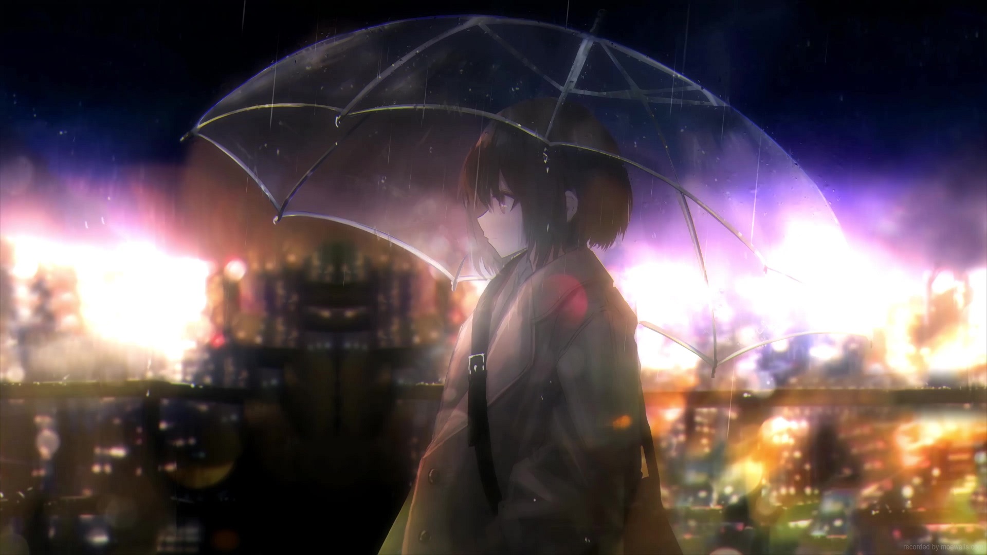 Umbrella Anime Girl City Night Rain Live Wallpaper - MoeWalls