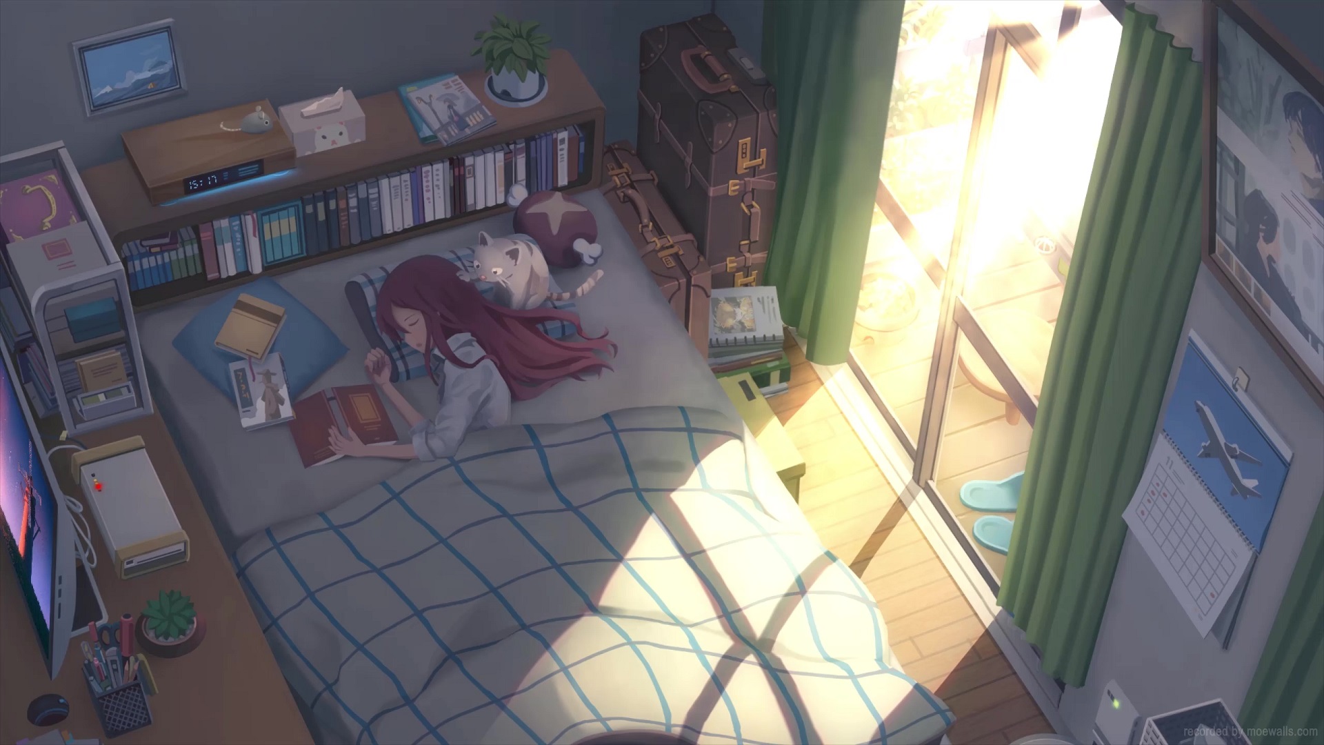 Anime Wake Up, Girls! Shichi-nin no Idol HD Wallpaper by ncoll36