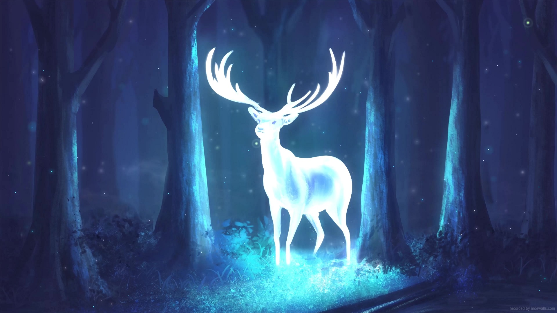 White Deer Spirit Live Wallpaper - MoeWalls