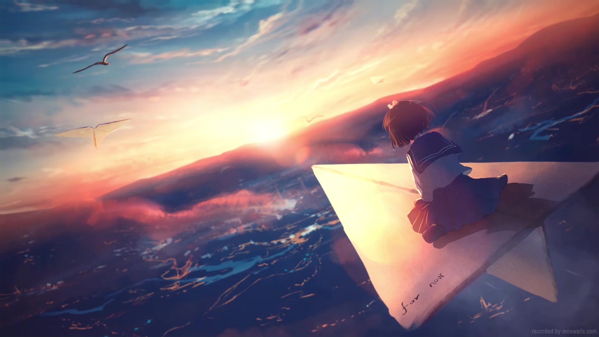 Anime Girl Paper Plane Sunset Live Wallpaper - MoeWalls