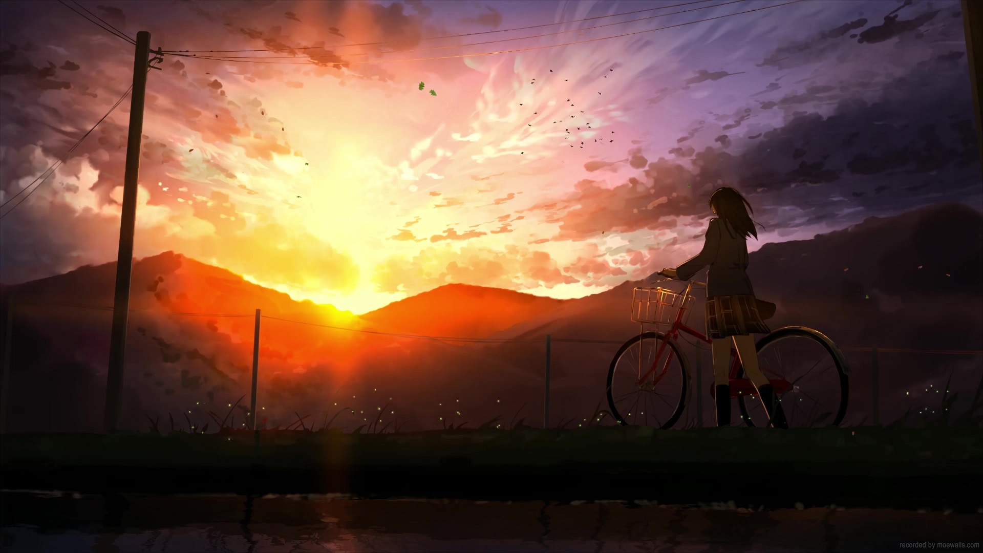 Anime School Girl Bicycle Sunset Live Wallpaper Moewalls