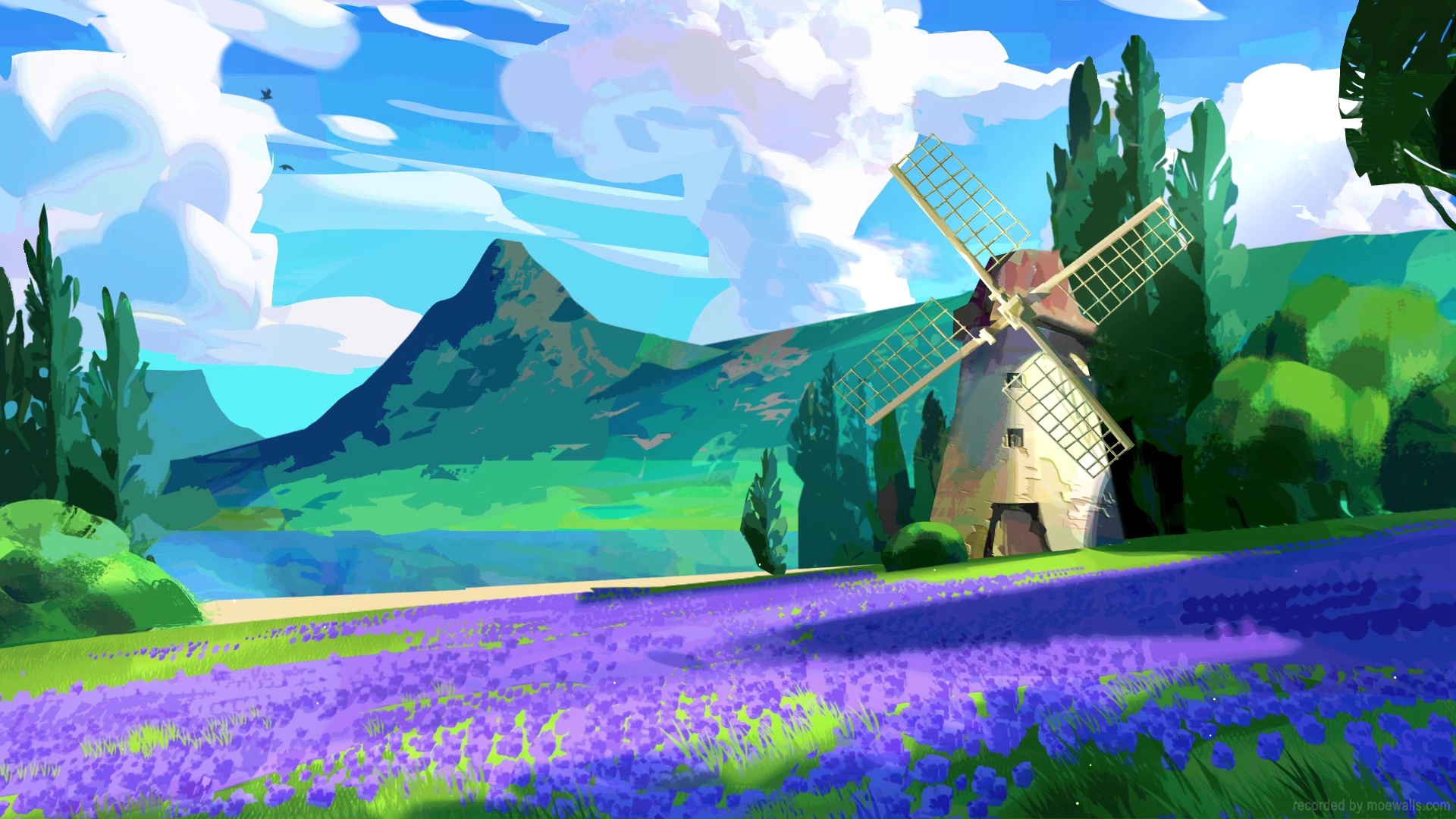 Windmill Flower Field Live Wallpaper - MoeWalls