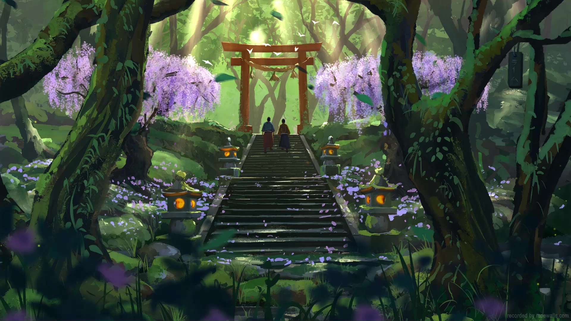 Torii Shrine In The Forest Live Wallpaper   MoeWalls