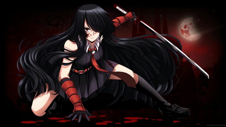 Akame Ga Kill Live Wallpaper