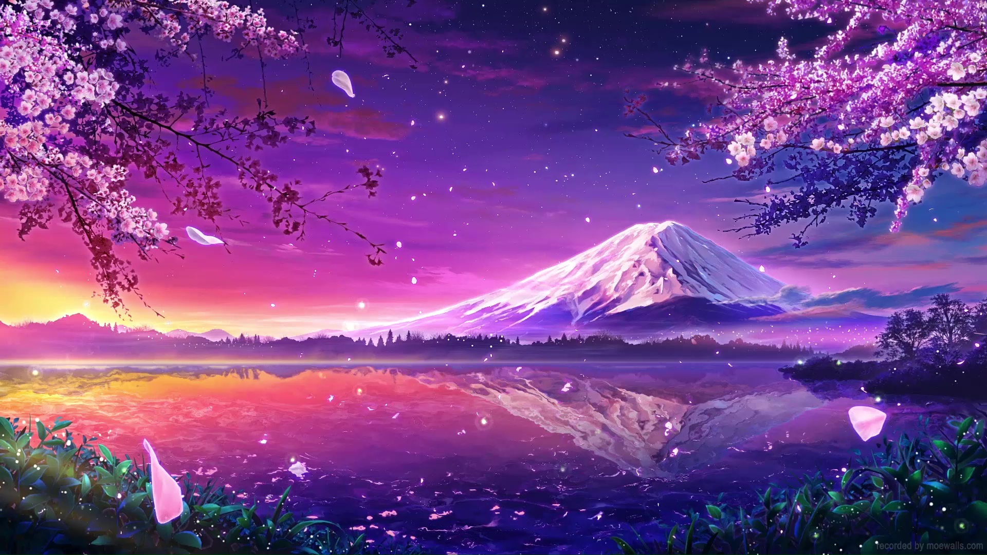 Mount Fuji Sakura Live Wallpaper - MoeWalls
