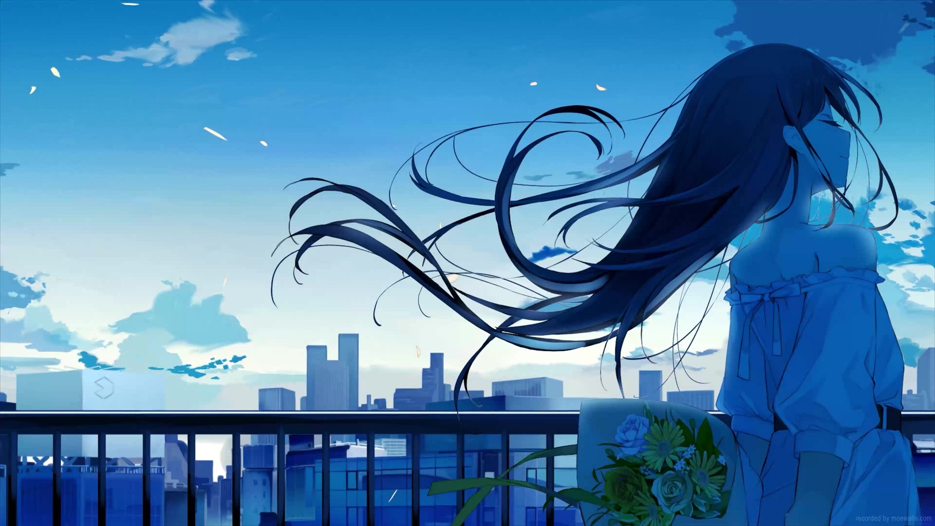 Anime Girl Blue Sky Live Wallpaper - MoeWalls