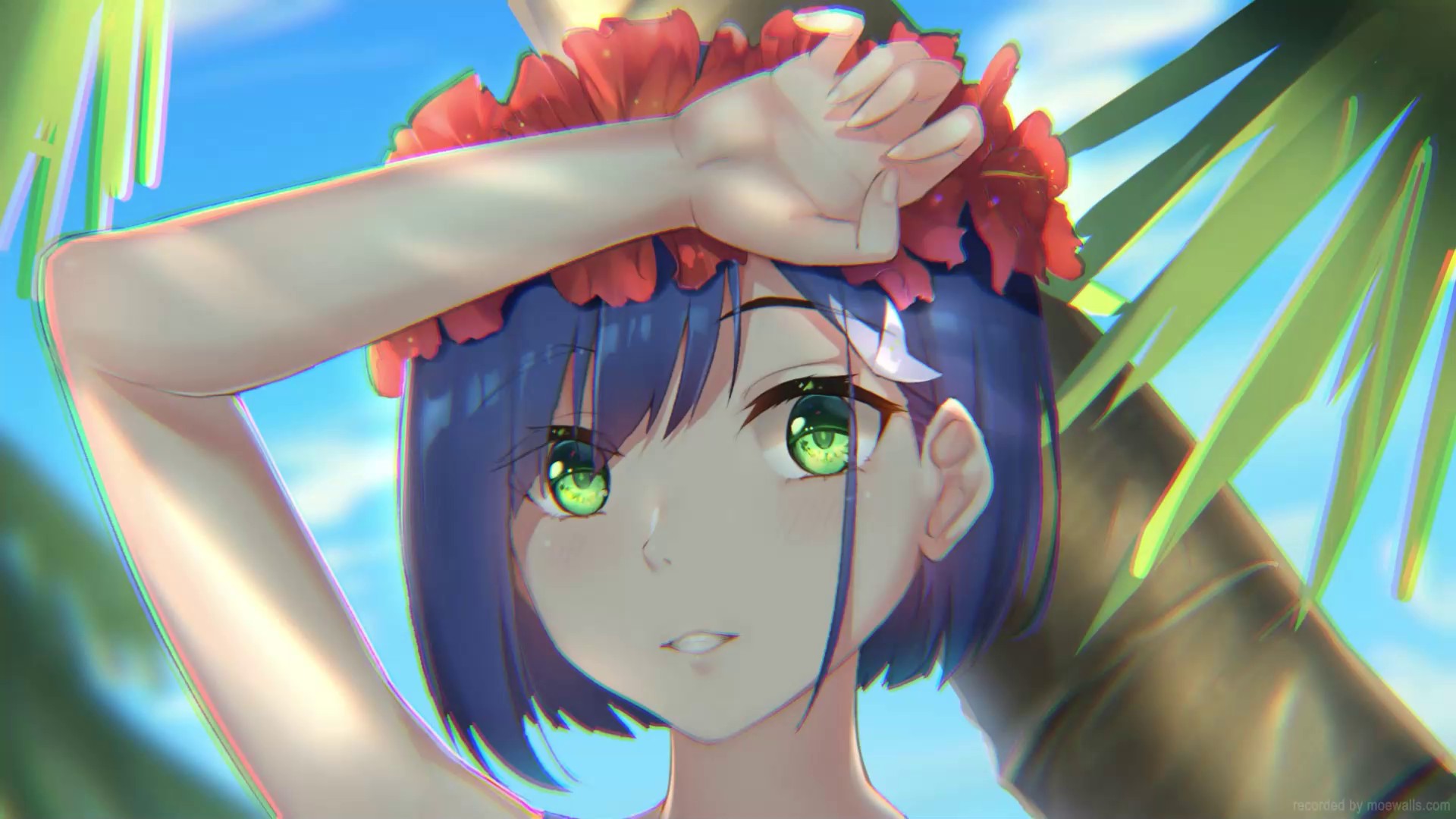 46 Summer Live Wallpapers, Animated Wallpapers - MoeWalls