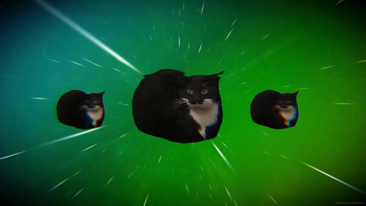 Maxwell The Spinning Cat Live Wallpaper - MoeWalls
