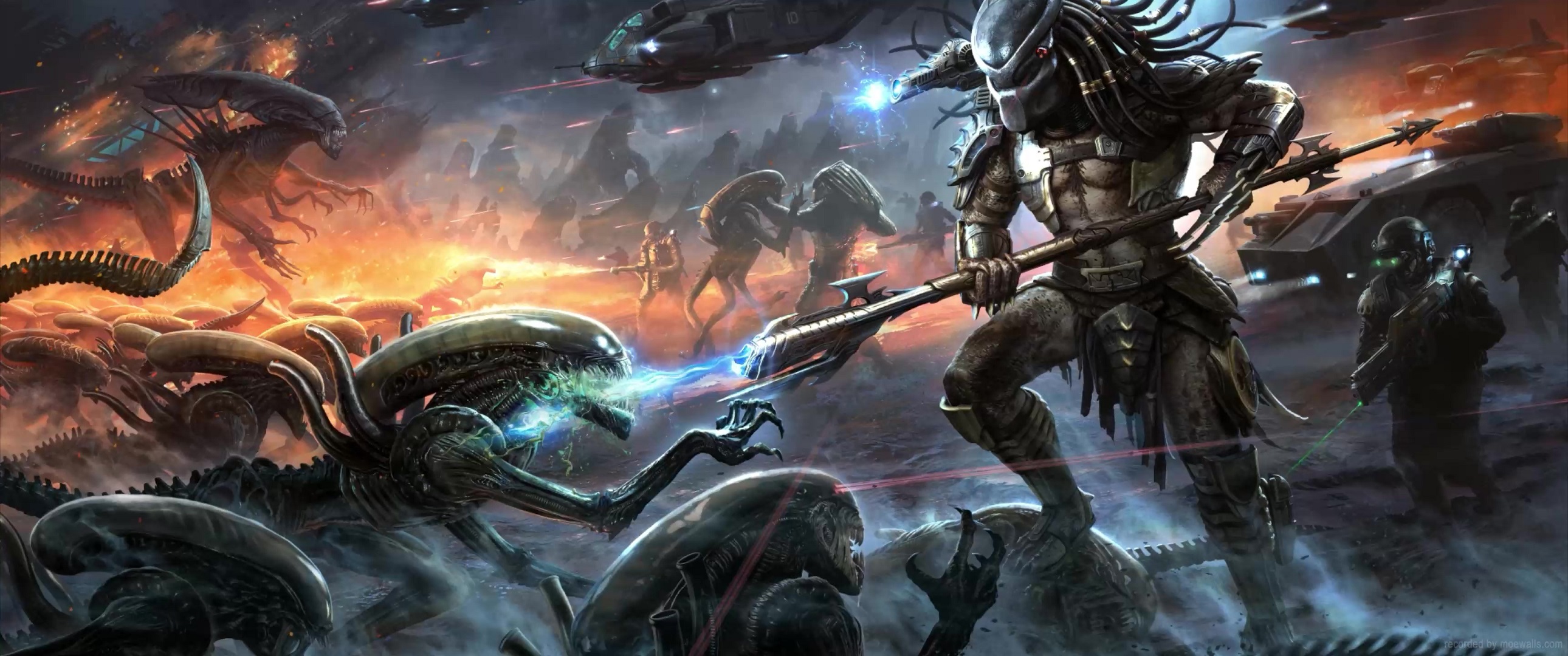 Download Alien Versus Predator Wallpaper  Wallpaperscom