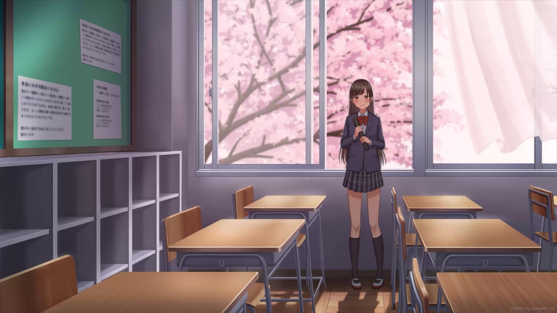 Anime School Girl Classroom Sakura Live Wallpaper - MoeWalls