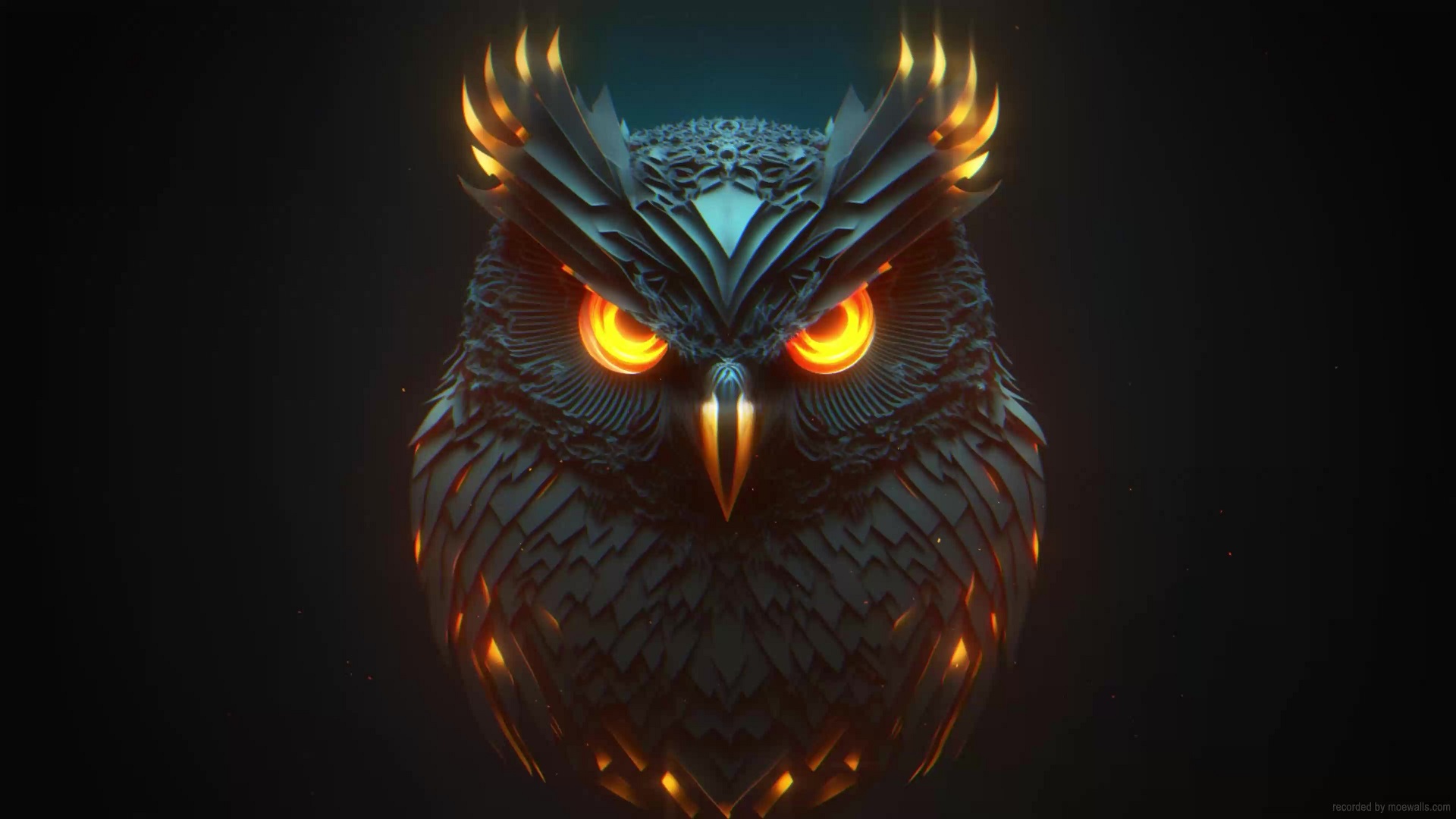 3 Owl Live Wallpapers, Animated Wallpapers - MoeWalls