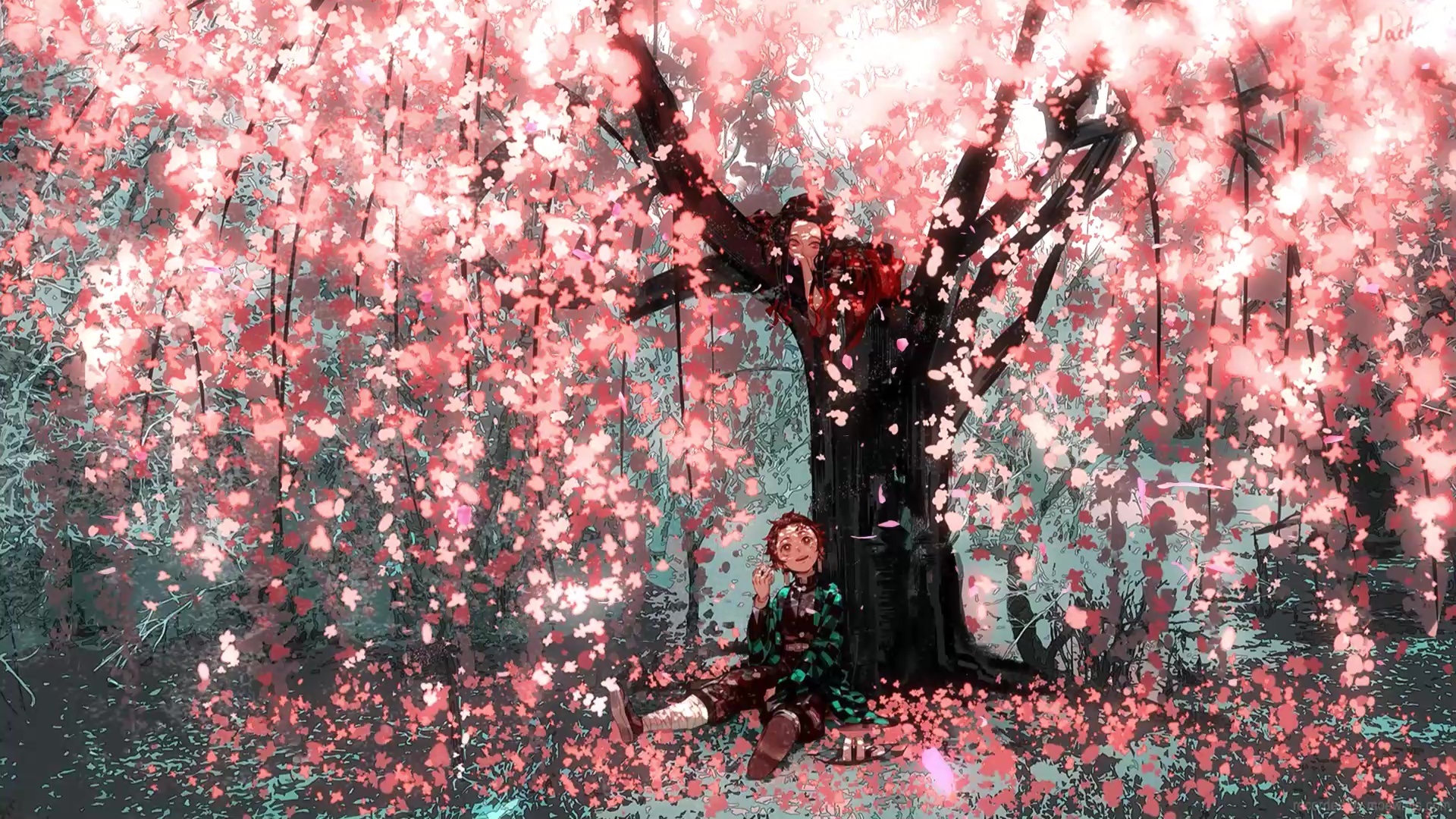 cherry blossom tree anime wallpaper