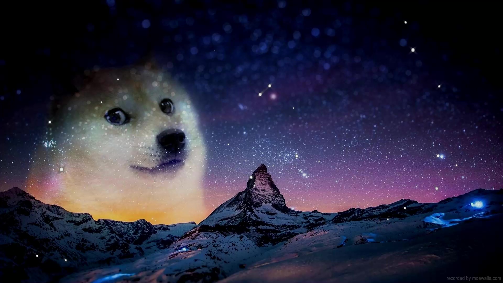 Hình nền Doge Windows, meme doge windows 11, doge wallpaper -  QuanTriMang.com