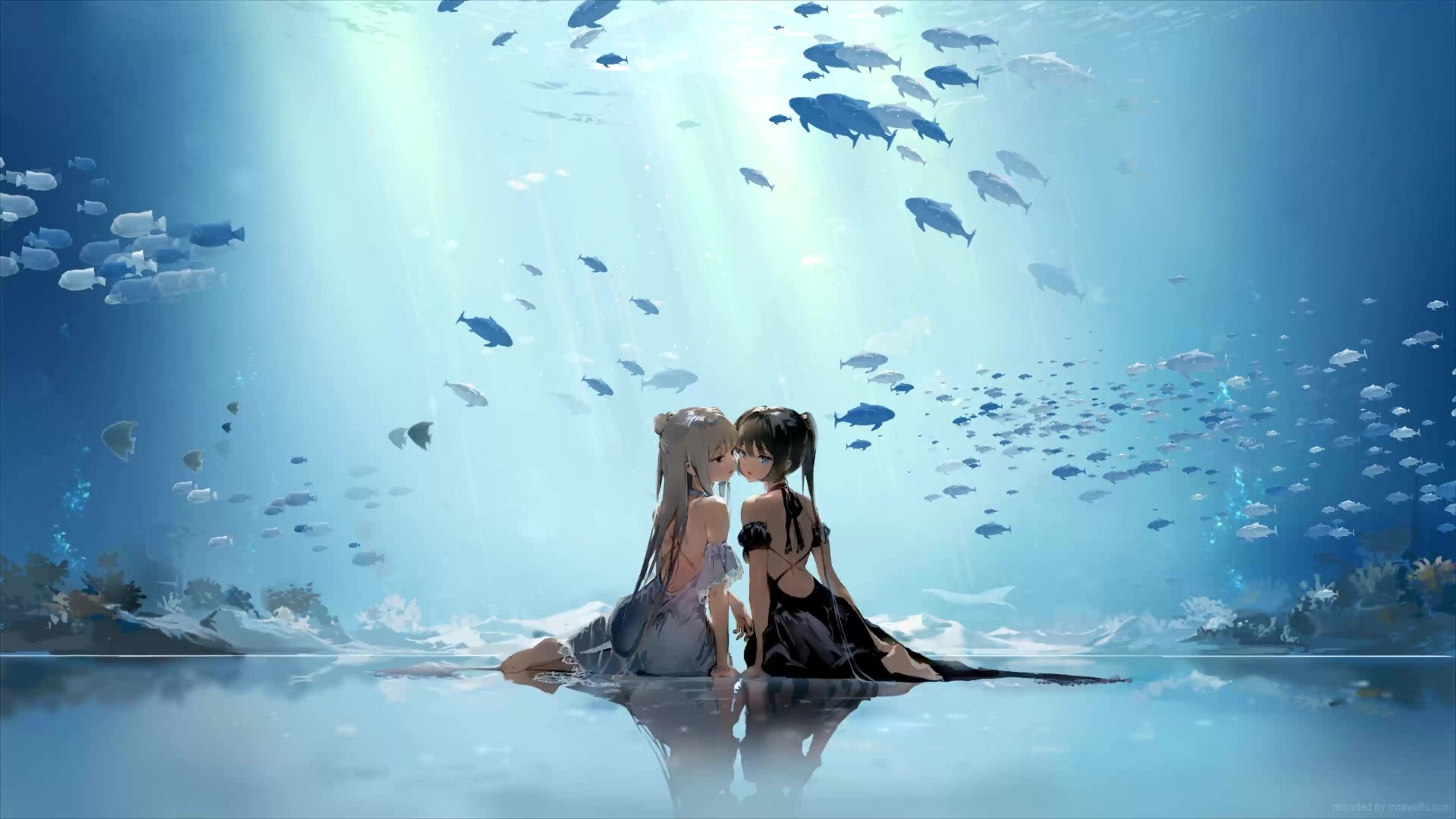 Amazon.com : Aquarium Background Sticker, Anime Girl Dolphin HD Printing  Wallpaper Fish Tank Backdrop Decorations PVC Landscape Poster (15.7x31.4  (40x80cm)) : Pet Supplies
