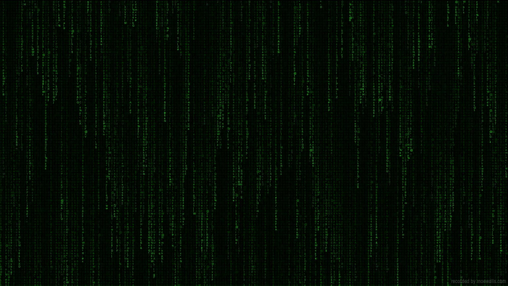 the matrix live wallpaper windows 10