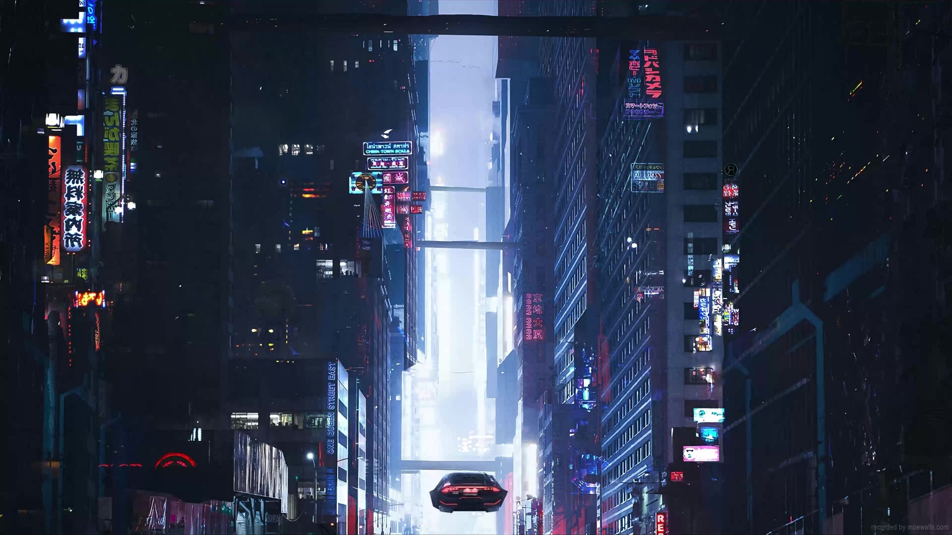Cat Looking At Cyberpunk City In The Rain Live Wallpaper - MoeWalls on Make  a GIF