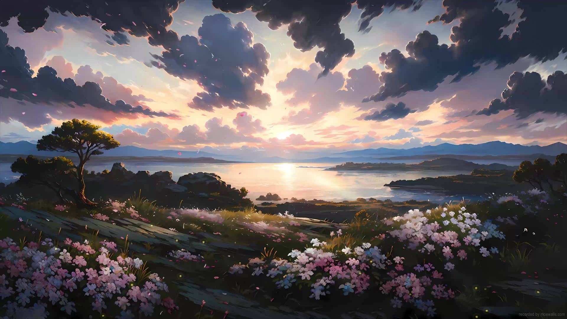 flower garden by Closz on DeviantArt | Anime flower, Flower garden, Sky  anime