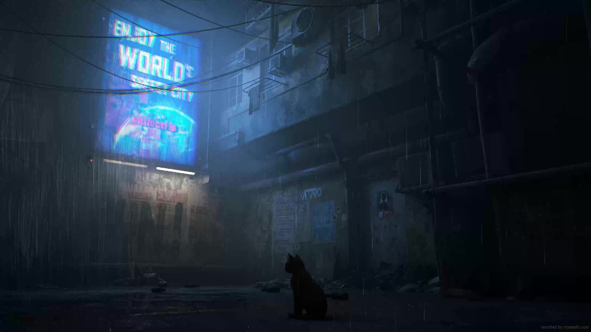 Lucyna And Black Cat Cyberpunk: Edgerunners Live Wallpaper - MoeWalls