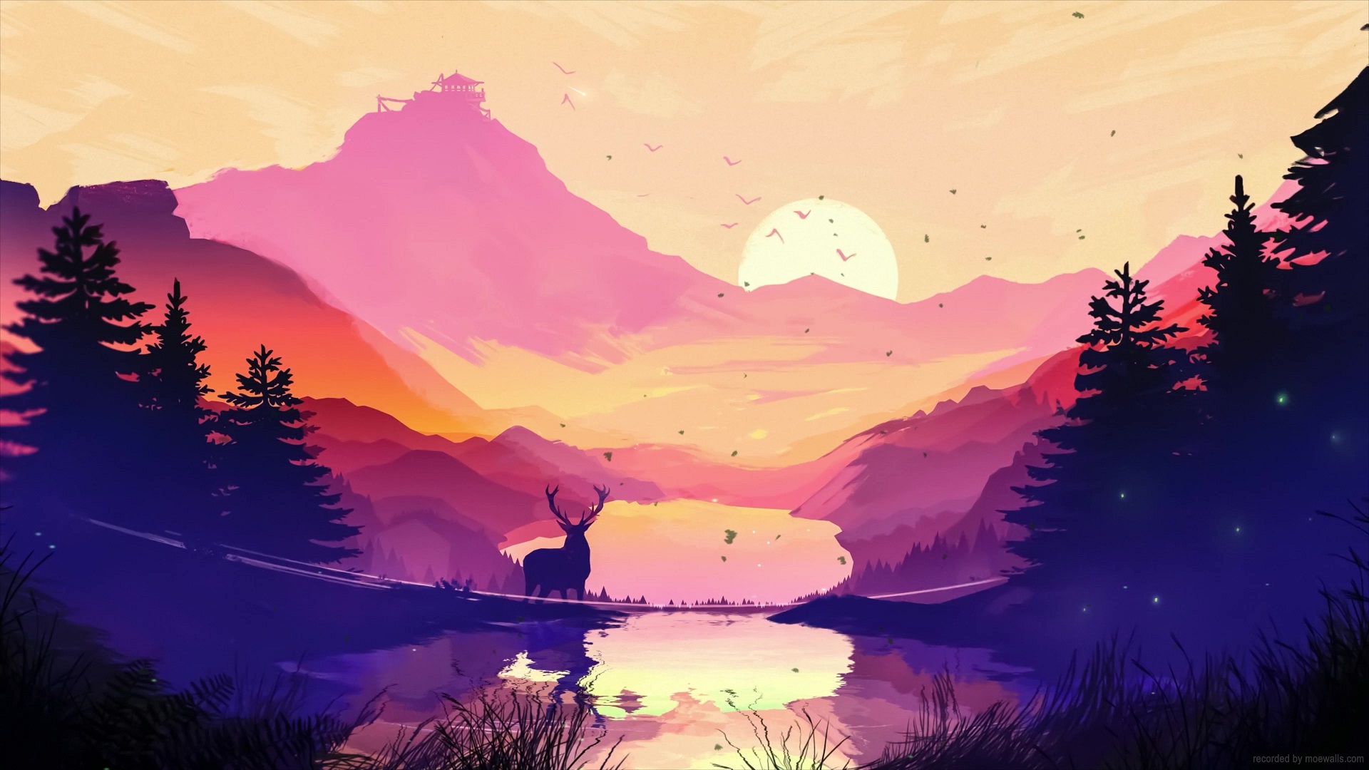 Deer with sunset - Wallpaper