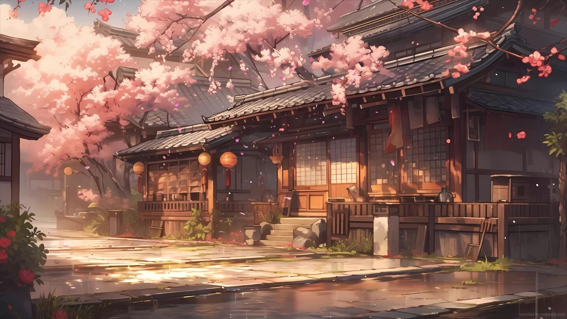 Download Cherry Blossoms Anime Scenery Girl Standing On Bridge Wallpaper |  Wallpapers.com