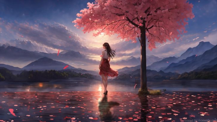 Fantasy Girl Cherry Blossom Live Wallpaper - MoeWalls