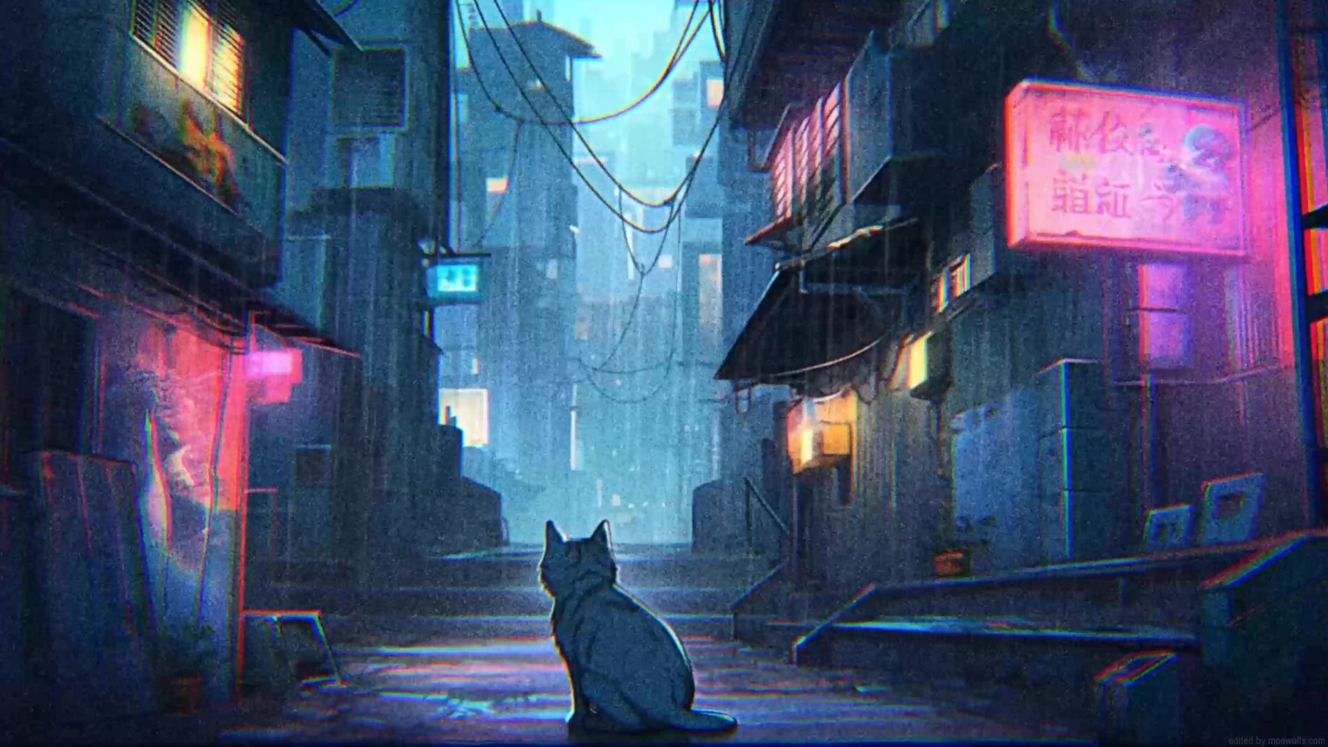 Lonely Cat Street Alley Rainy Night Live Wallpaper - MoeWalls