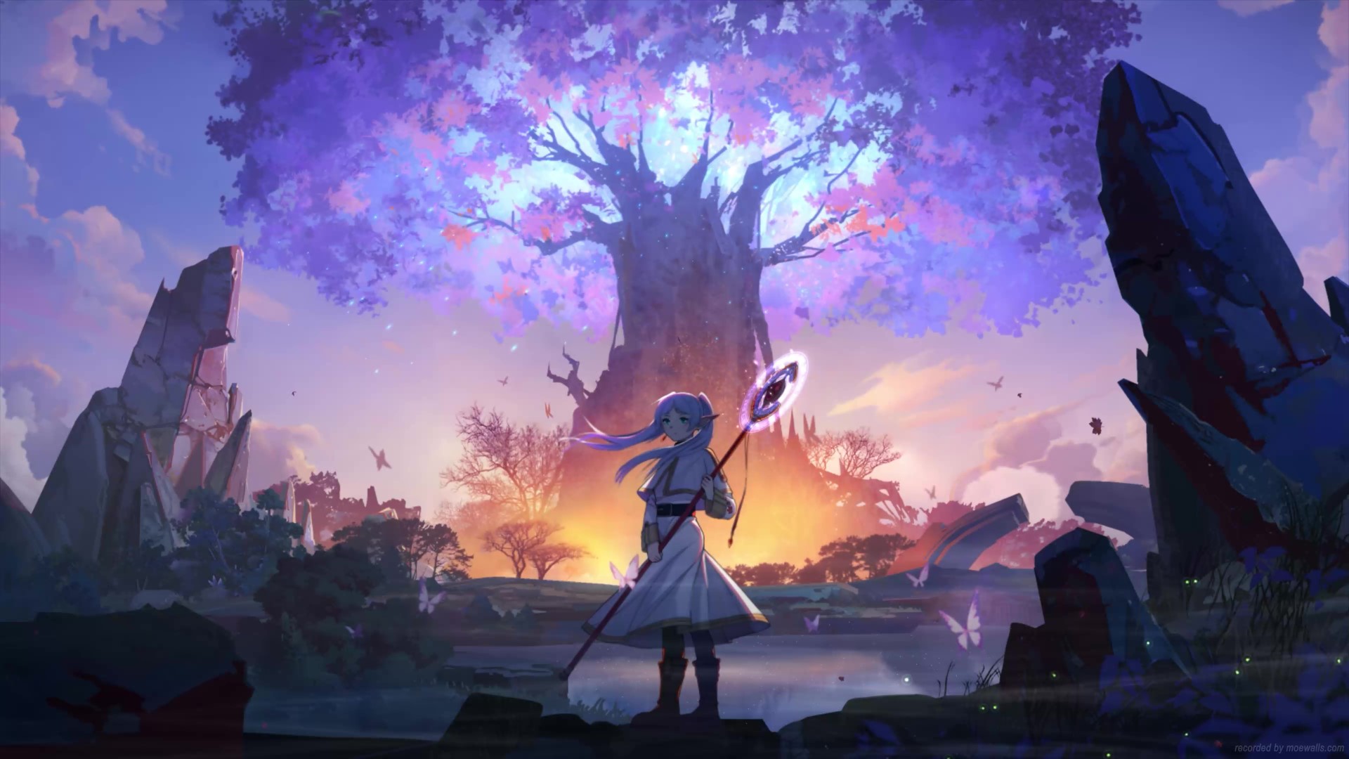 Magical Tree Frieren Beyond Journey's End Live Wallpaper - MoeWalls