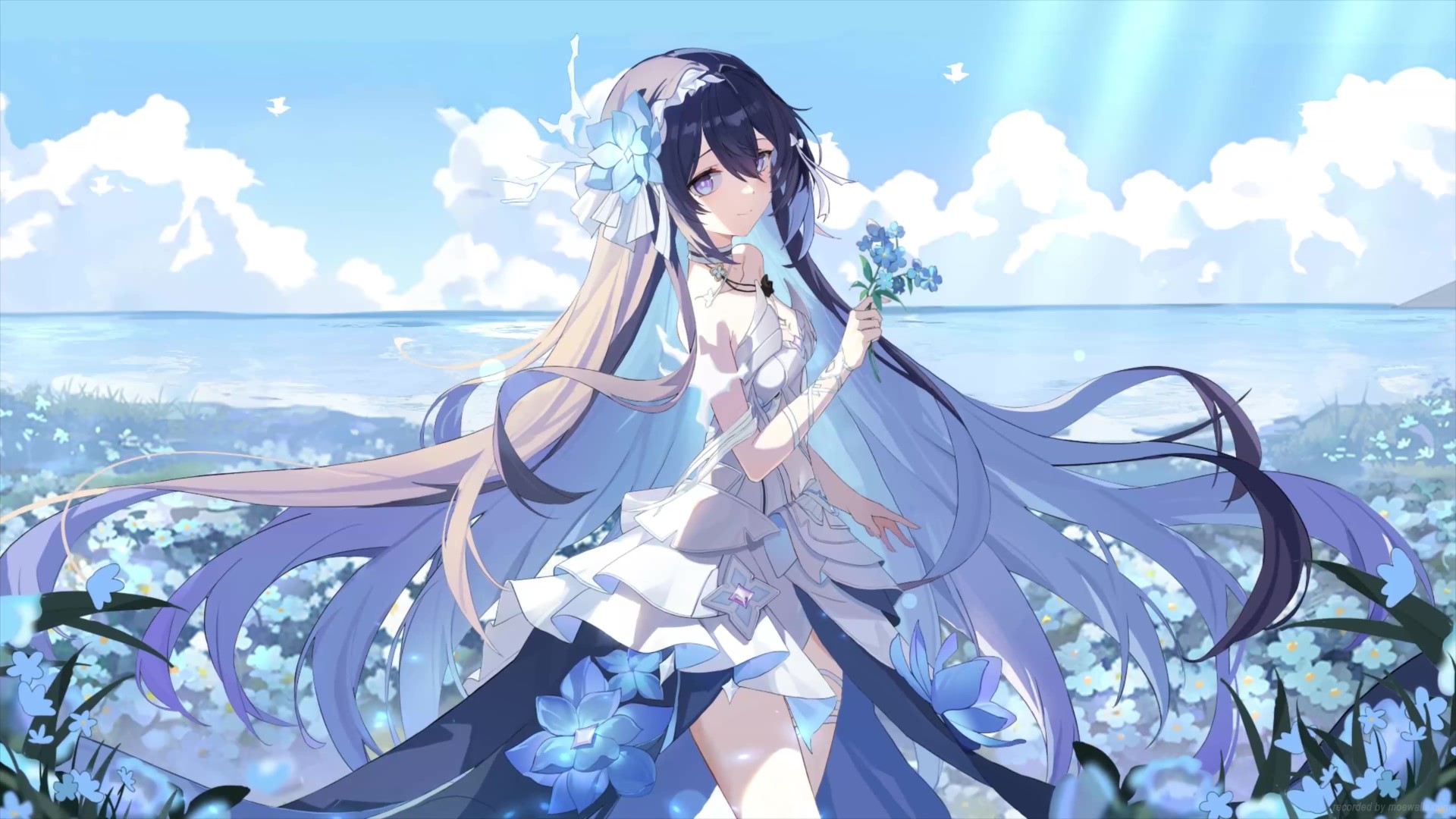 Seele Flower Field Honkai: Star Rail Live Wallpaper - Moewalls