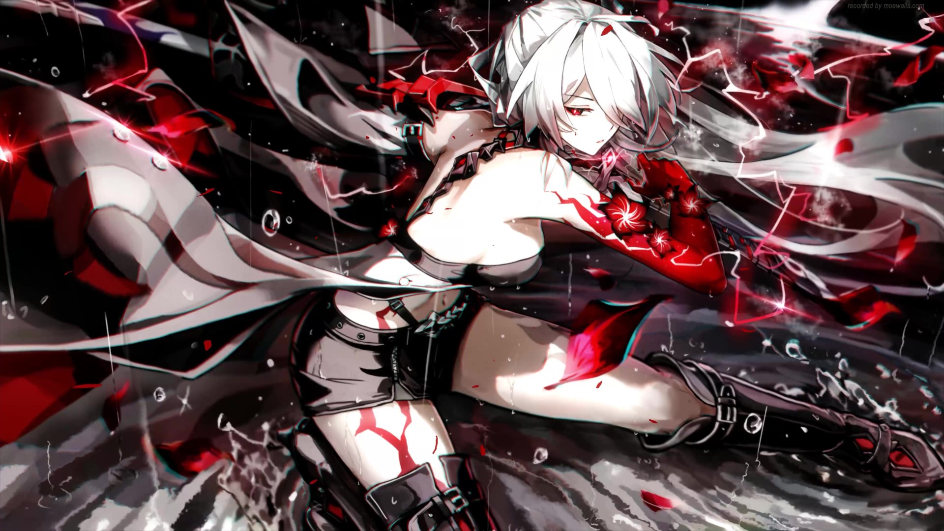 Honkai: Star Rail Acheron Live Wallpaper - MoeWalls