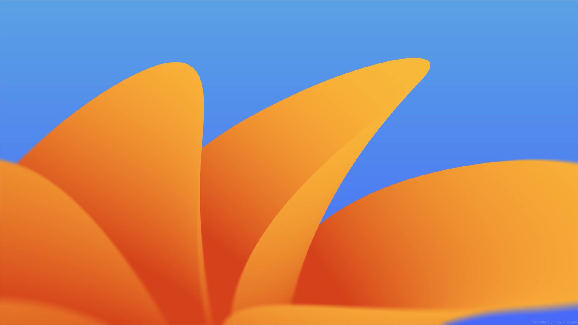 MacOS Ventura Live Wallpaper - MoeWalls