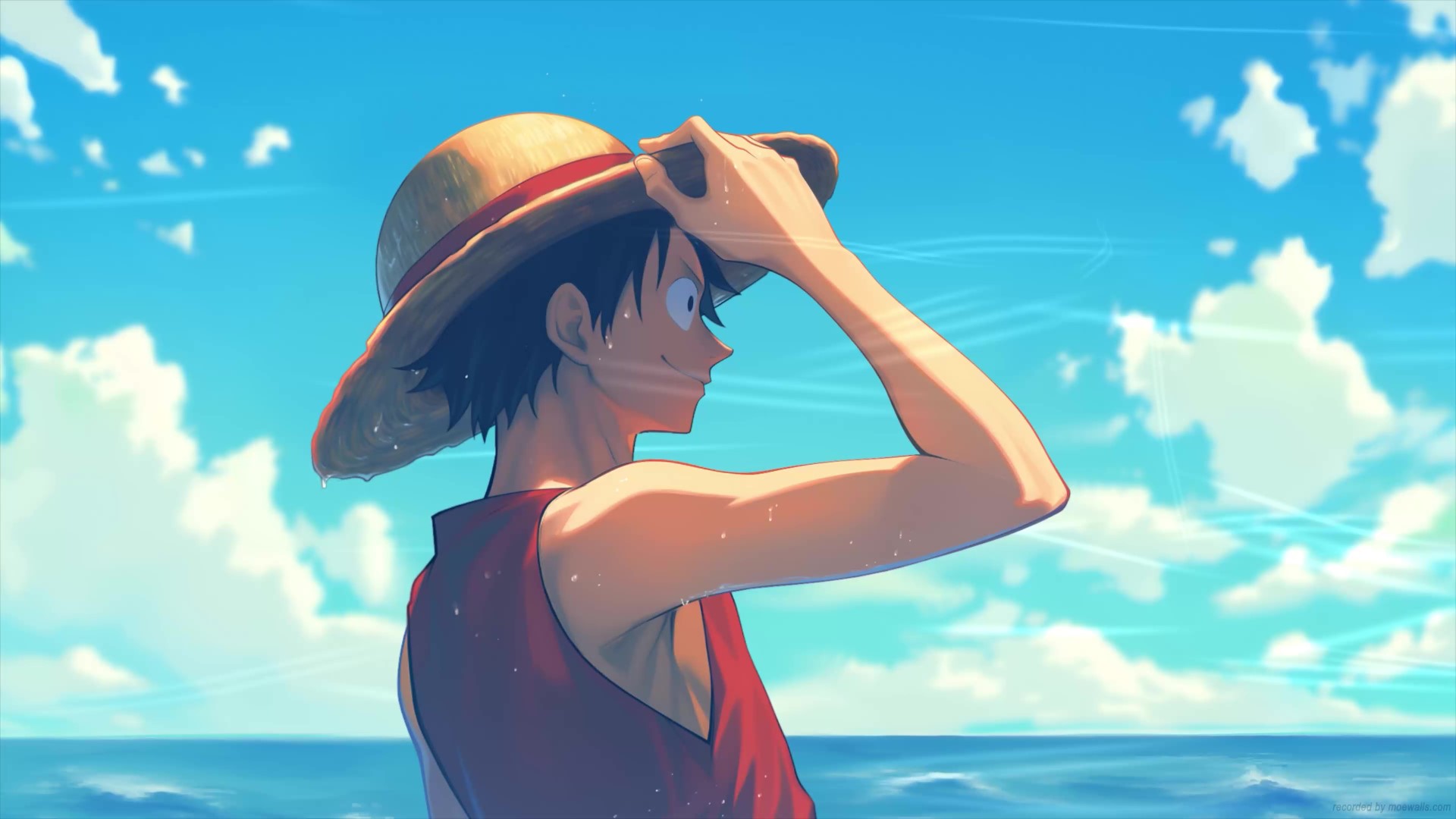 Luffy On The Beach One Piece Live Wallpaper MoeWalls