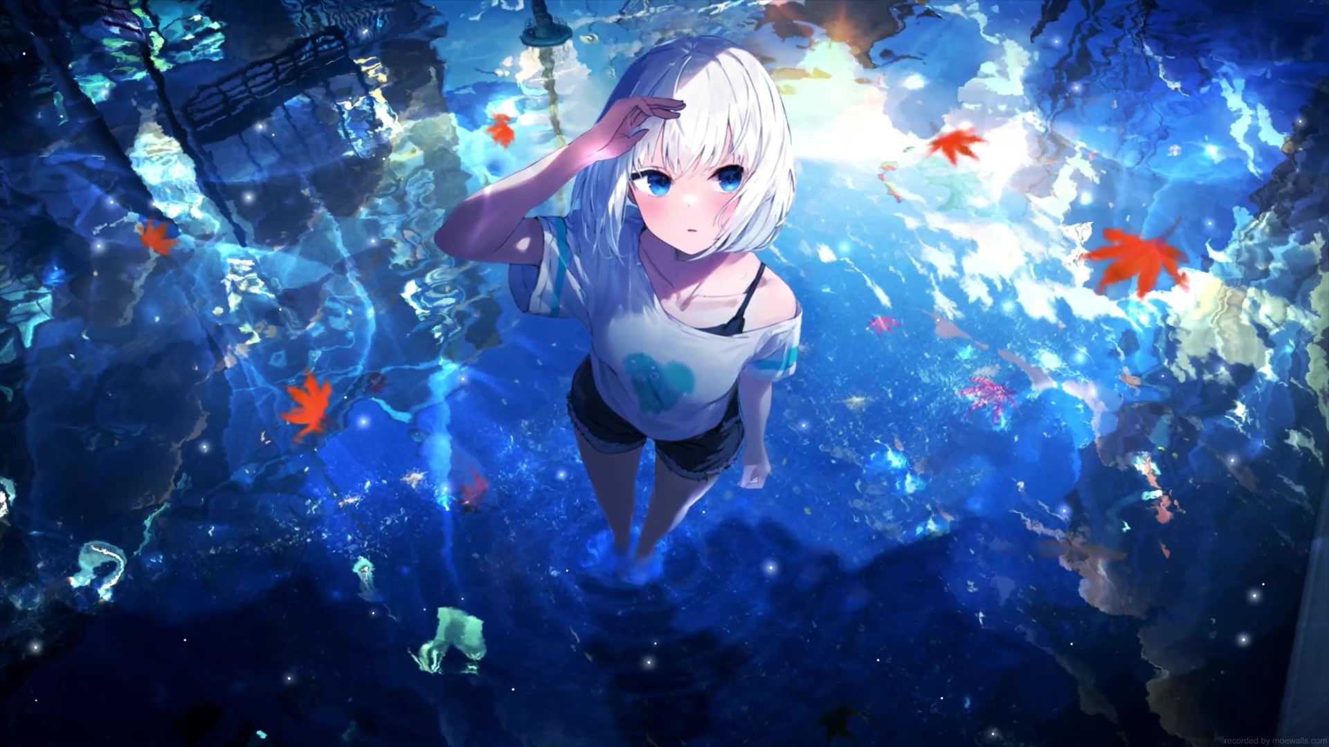 Anime Girl Standing In Water Live Wallpaper - Moewalls